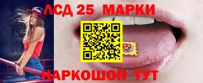спиды Новодвинск