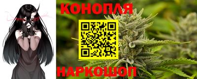 спиды Новодвинск