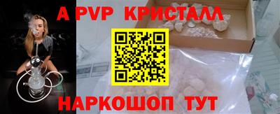 СК Новокубанск