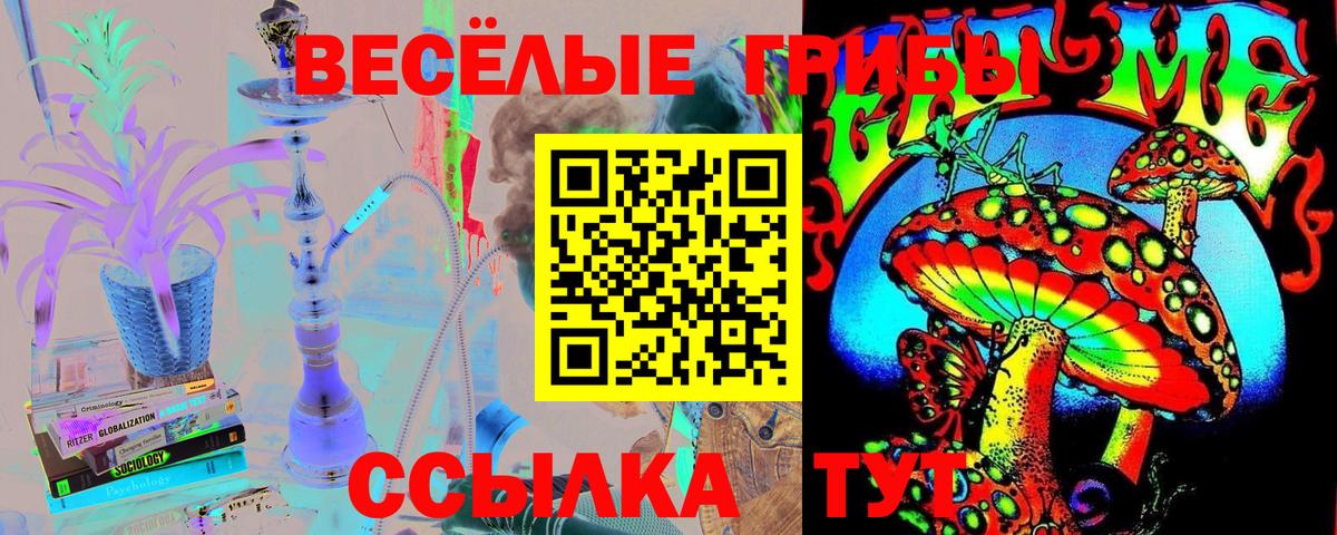 Галлюциногенные грибы Cubensis Свободный