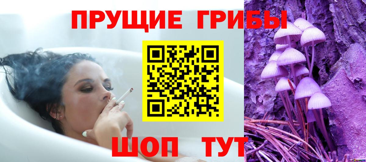 Свободный  Галлюциногенные грибы MAGIC MUSHROOMS  Вход с VPN 